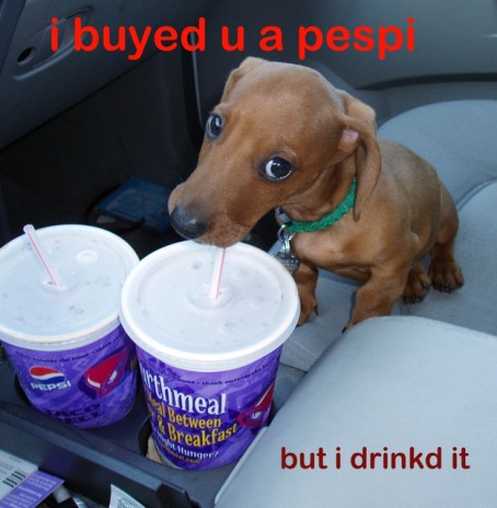 hund_pepsi.jpg