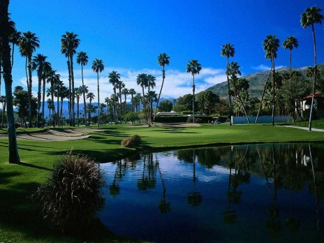 palms.jpg