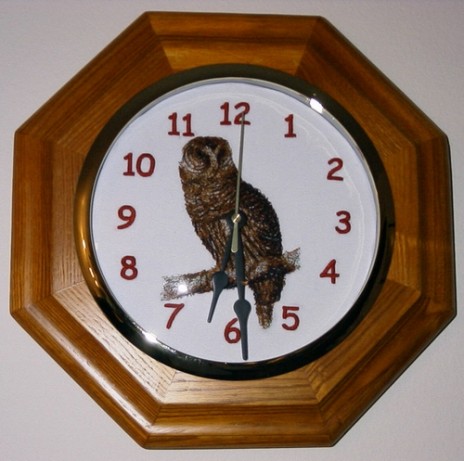 Owl_Clock45456.JPG