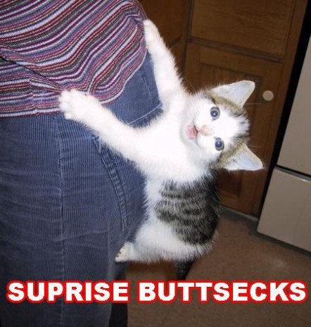 lol.jpg