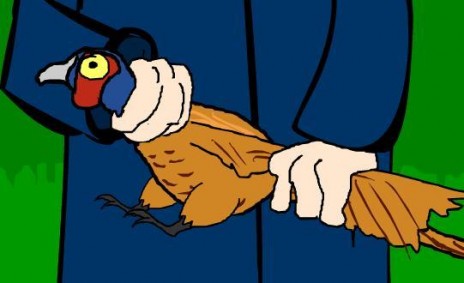 pheasant.JPG
