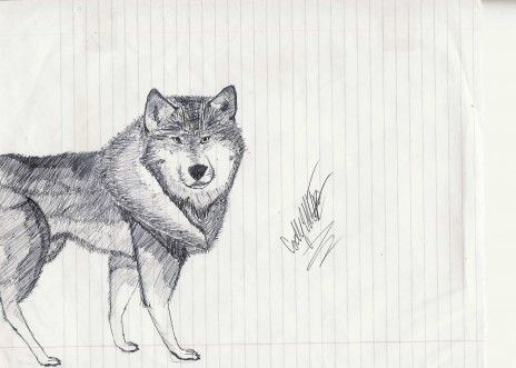 scan0003.jpg