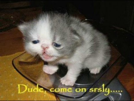 come_on....jpg