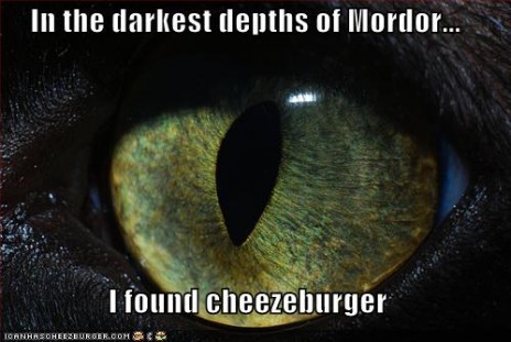 funny_pictures_cat_eye_of_.jpg