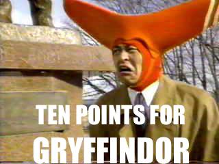 gryyinfidfot.JPG