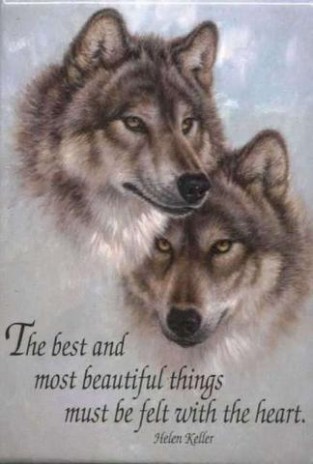 th_Wolves.jpg