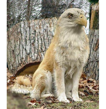AnimalMutants2.jpg