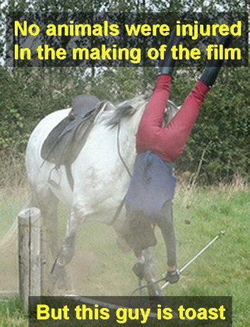 horse_head_over_heels.jpg