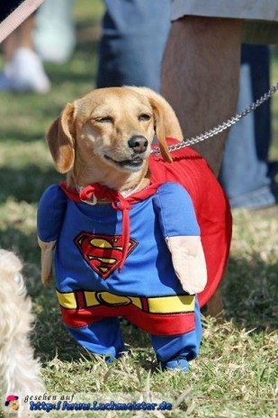 superman.jpg