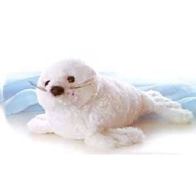 Cute_Seal.jpg