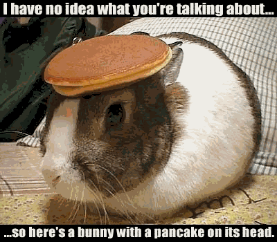pancake_headed_bunny.gif