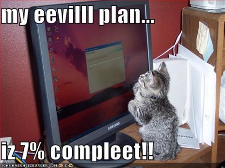 funny_pictures_kitten_moni.jpg
