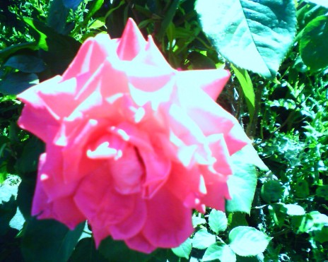 IMAGE_00028.jpg