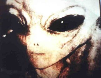 alien_picture_1.jpg