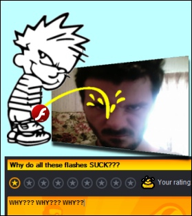 flashsucks.jpg