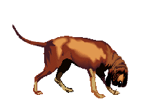 48792_0Hound.gif