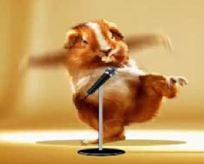 Hamster._o.0.jpg
