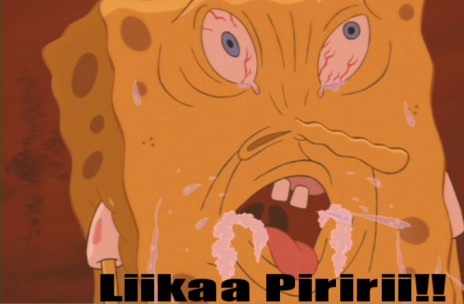 sponge_piri.jpg