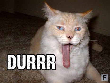DurrrR.jpg