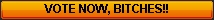 vote2.jpg