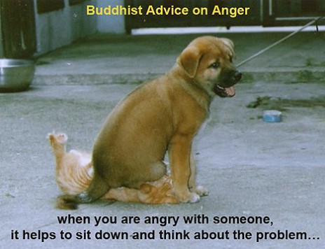 buddhist_advice_on_anger2.jpg