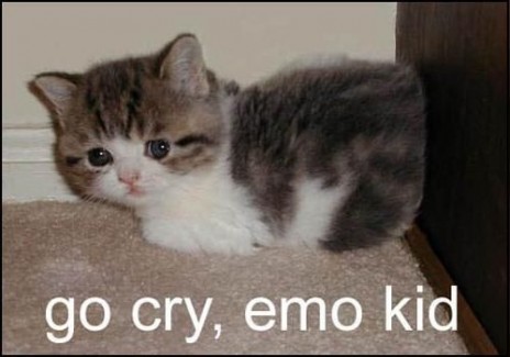 Emo_cat.jpg