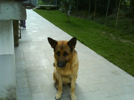 DSC00009.JPG