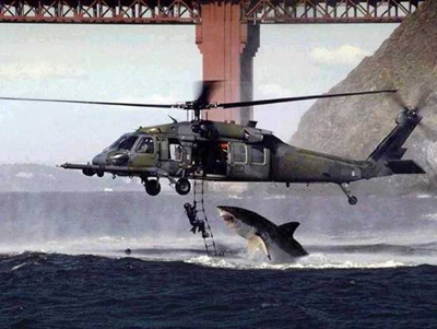 400helishark.jpg