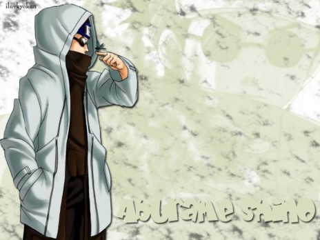 shino_point.jpg