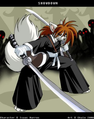 Samurai_Wolf_by_chalosan.jpg