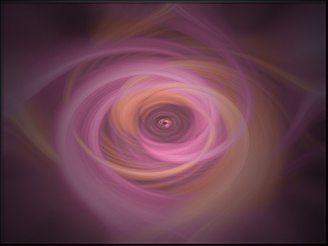 rose.jpg