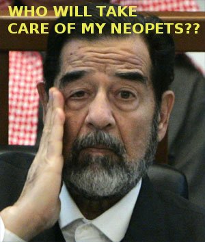 Saddam_neopets.jpg