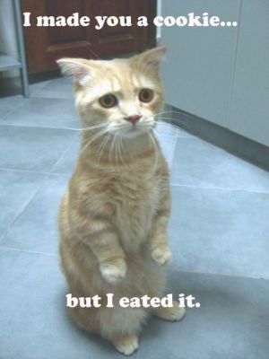 madecookie.jpg