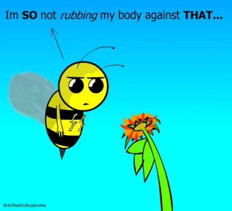 Beecause1.jpg