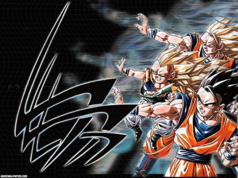 44463.jpg