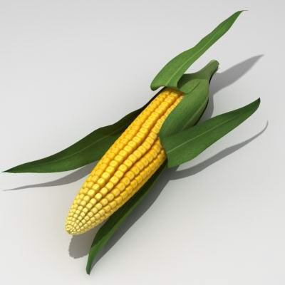 corn.jpg