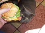 burger.jpg