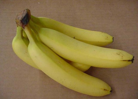 bananas.jpg