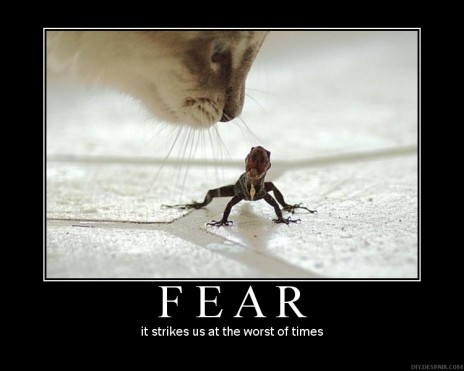 FEAR.jpg
