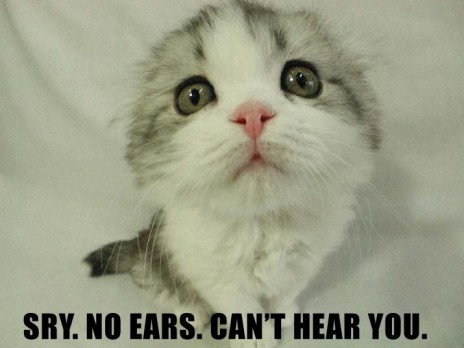 EARS.JPG
