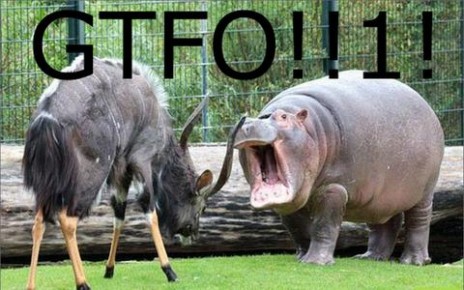 gtfo_56265.jpg