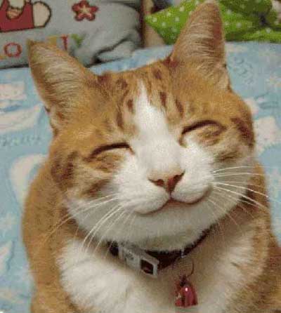 humorous_animal_pictures_0.jpg
