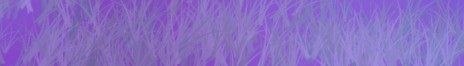 Lilac_Grass.jpg