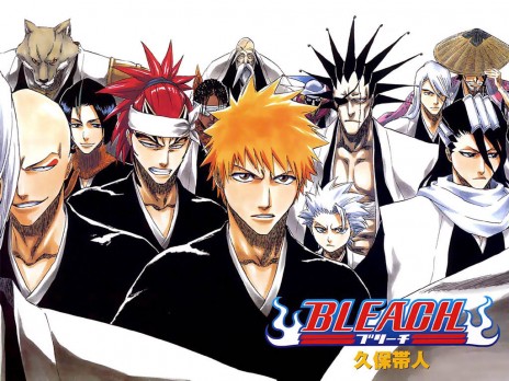 bleach_36_.jpg