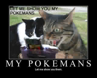 49201_cats_1_.jpg