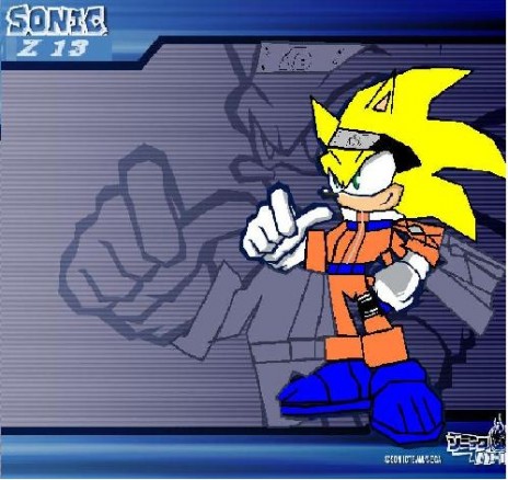sonicz13battlemsn.JPG