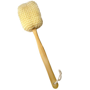 Sponge_.jpg