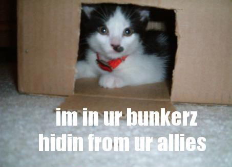 128246017054788750_iminurb.jpg
