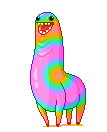 KAKACOLORIDO.gif