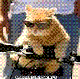 ca8.gif